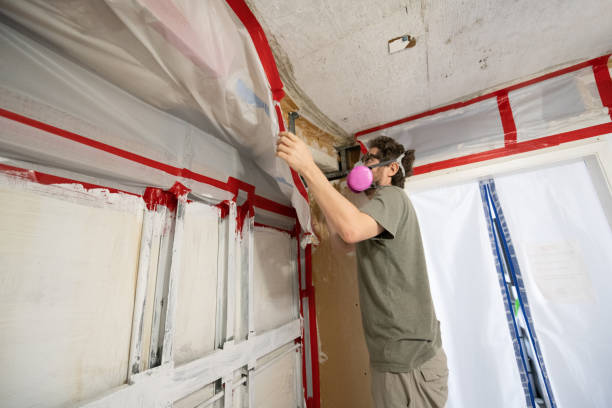  , USA Mold Removal Pros